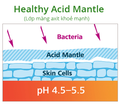 lớp màn acid làn da