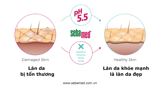 To roi new sebamed tong hop san pham - 2