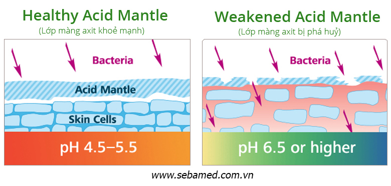 mang acid pH5 - 3