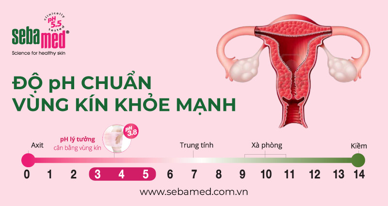 Độ ph dung dịch vệ sinh phụ nữ bao nhiêu là an toàn? - 1 - sebamed Dung dịch vệ sinh phụ nữ Sebamed pH3.8