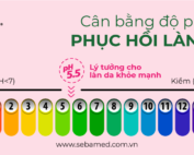 can bang do ph de phuc hoi lan da sebamed - 9