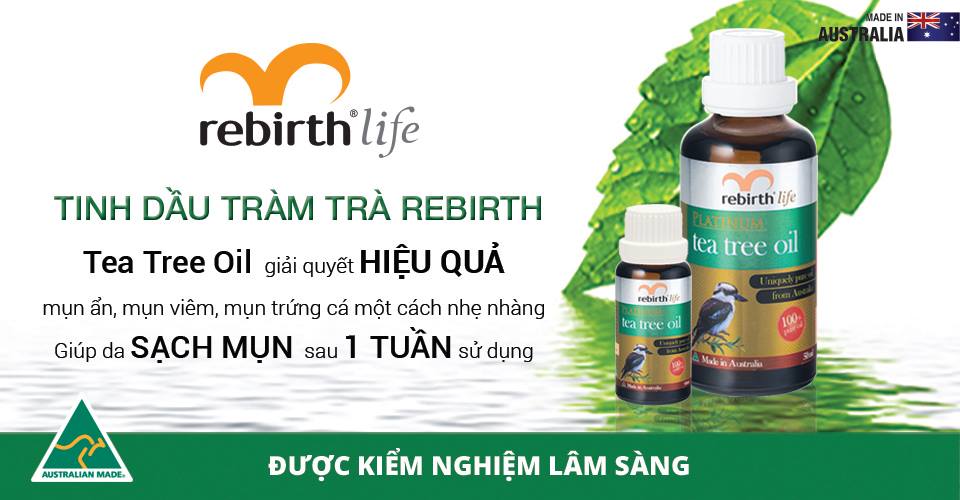 Cách trị mụn tại nhà hiệu quả nhanh nhất sau 1 đêm - 3 - sebamed Trị mụn bằng tinh dầu tràm trà – www.sebamed.com.vn