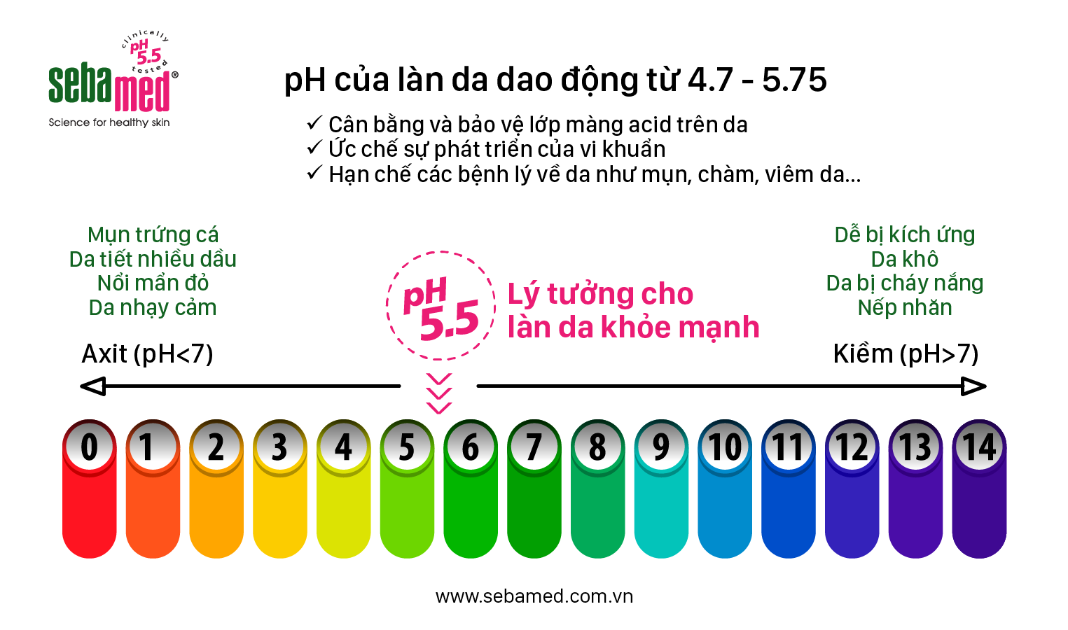 Bệnh chàm da và tầm quan trọng của ph5. 5 - 2 - sebamed bệnh chàm da