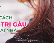 9 cach tri gau tai nha hieu qua sebamed - 13