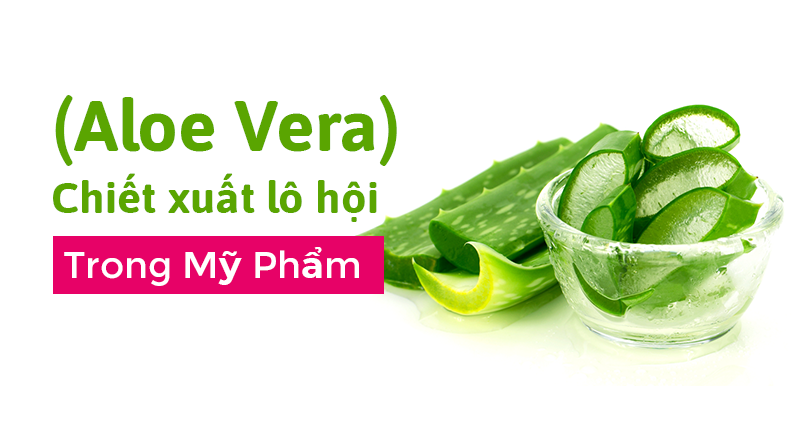 Lô hội aloe vera