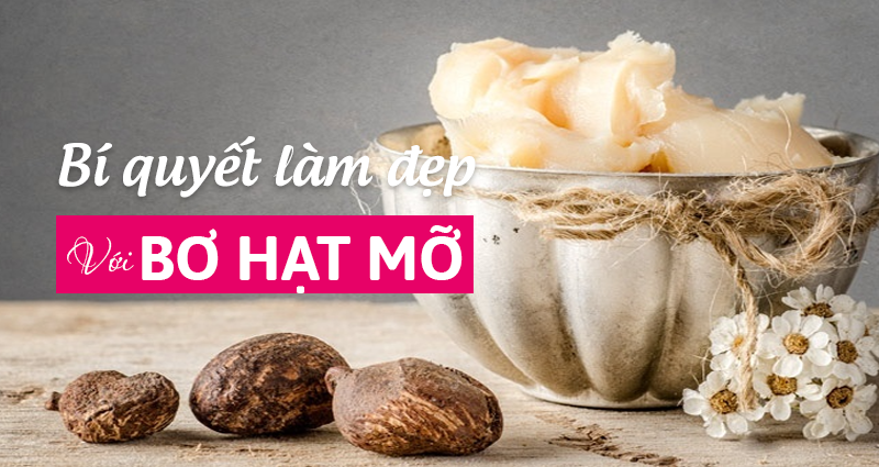 bơ hạt mỡ