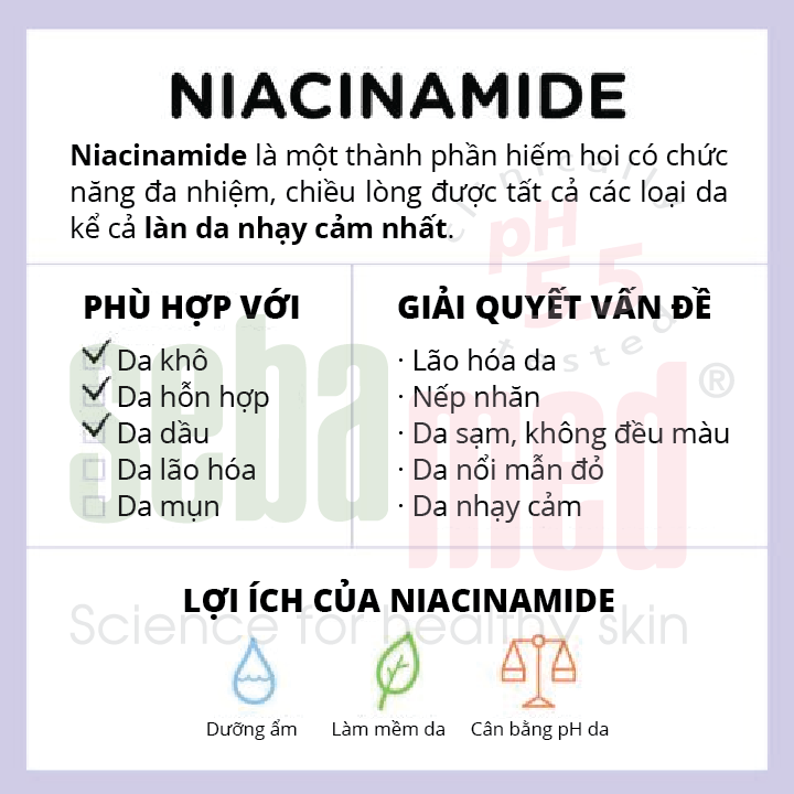 niacinamide la gi sebamed - 1